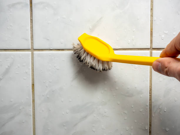 Best Home Mold Removal  in Lookout Mountain, AL