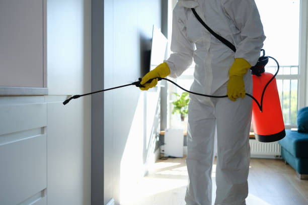 Best Attic Mold Removal  in Lookout Mountain, AL