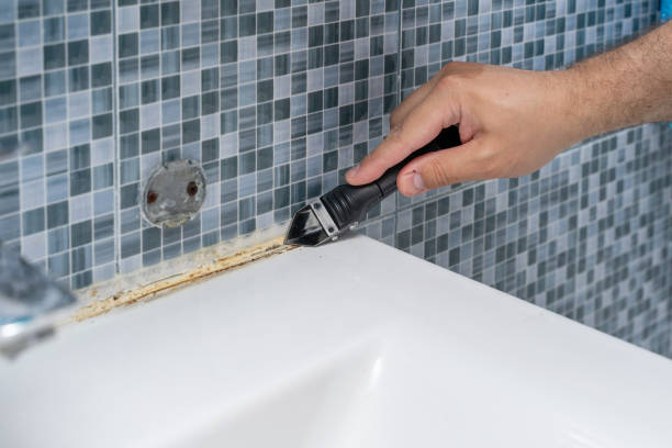 Best Residential Mold Removal  in Lookout Mountain, AL